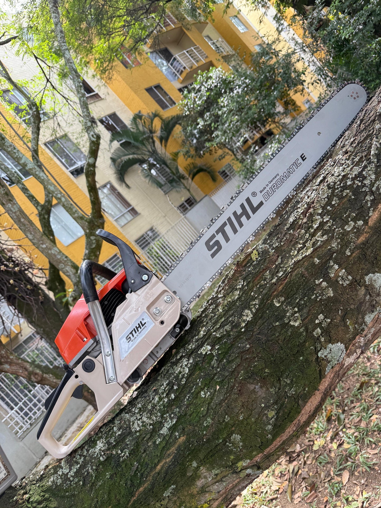 Motosierra Stihl 660