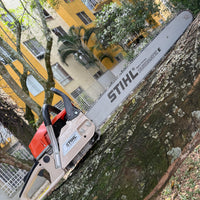 Motosierra Stihl 660